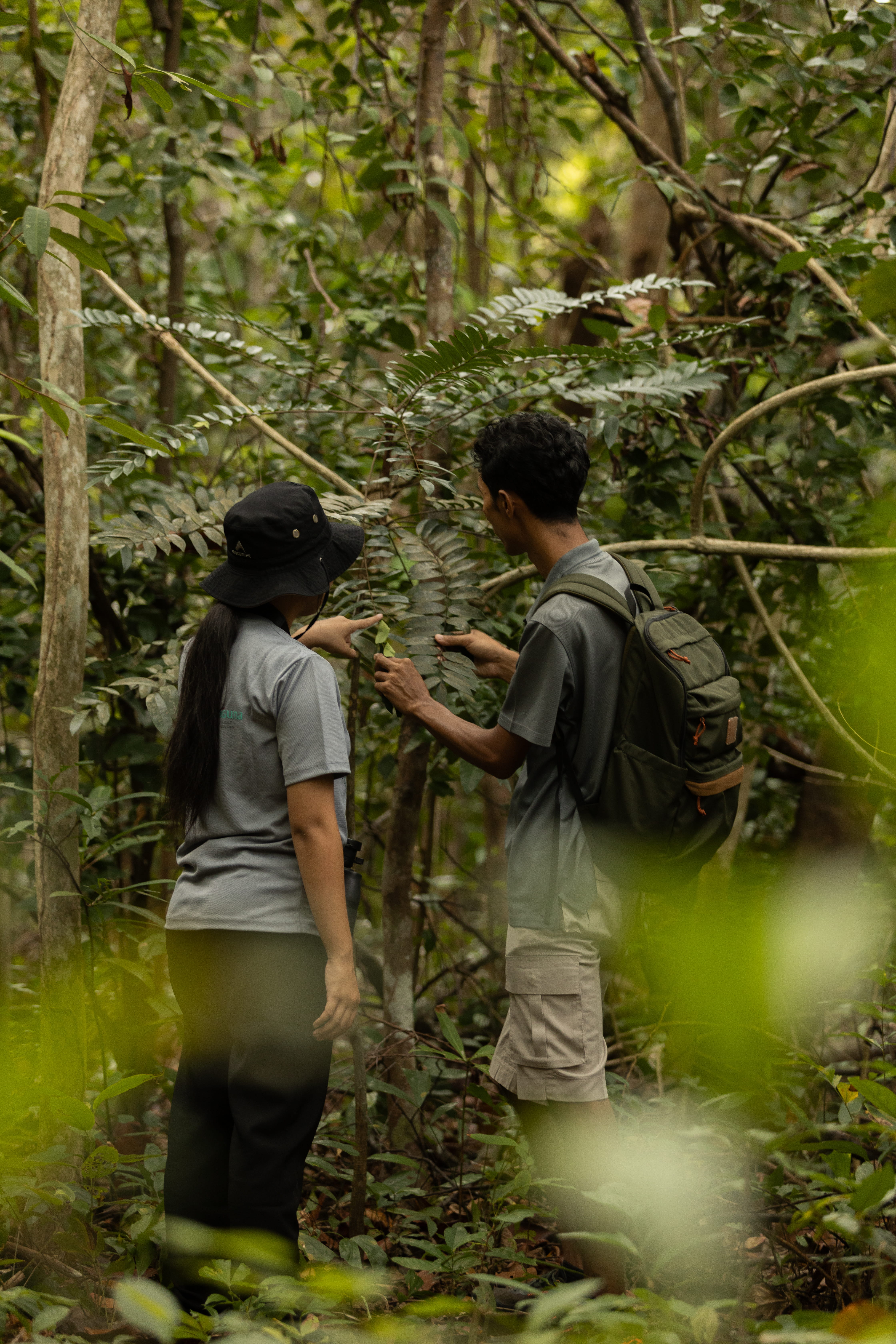 Nature Walk Cassia Bintan
